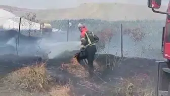 Bingöl Genç ilçesindeki bahçe yangını ekiplerin müdahalesiyle kısa sürede söndürüldü