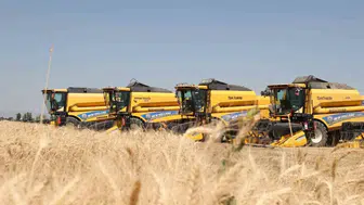 Muş Ovasında Hasat Sezonu Başladı ve 11 Milyar Liralık Gelir Bekleniyor