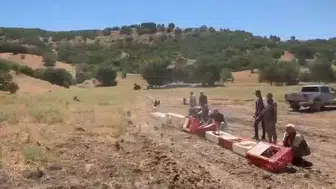 Elazığ kırsalındaki kene sorununa karşı 300 keklik doğaya salındı