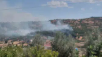 Dicle kırsalında başlayan örtü yangını ekipleri harekete geçirdi
