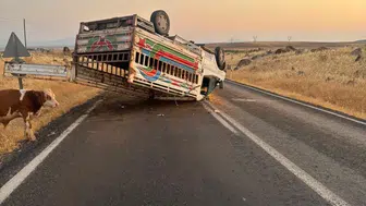 Siverek yolunda devrilen kamyonet trafiği kilitledi