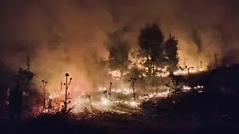 Şırnak Bestler Dereler bölgesinde devasa buğday tarlası alevlere teslim oldu