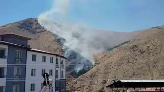 Keban ilçesindeki Nimri Dağı alevlere teslim oldu