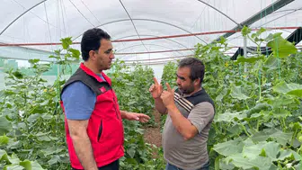 Suruç Ovasında su bereketi mevsimlik işçiliği tarihe gömdü