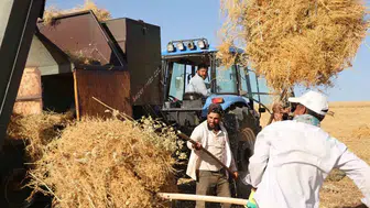 Diyarbakırlı çiftçiler kavurucu sıcak altında mesai yapıyor