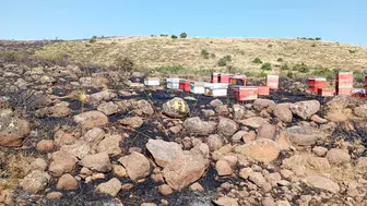 Karakoçan'da çıkan arazi yangını çok sayıda arı kovanını küle çevirdi