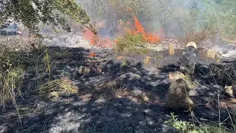 Bitlis merkezinde aynı gün çıkan iki yangın çevrede korku yarattı