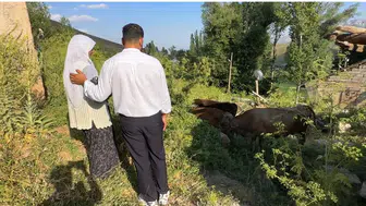 Yüksekova’da ineğini kaybeden Ayni teyzenin yüzü yeni yardımlarla güldü