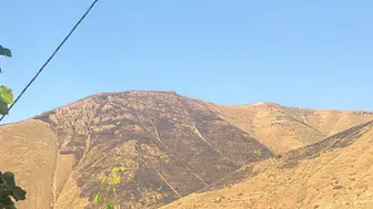 Keban ilçesindeki Nimri Dağı yangını uzun uğraşlar sonucu söndürüldü