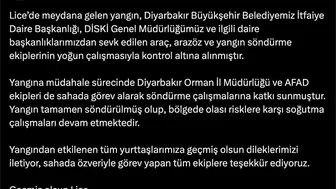 Lice ilçesindeki orman yangını ekiplerin müdahalesiyle tamamen söndürüldü