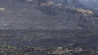 Siirt Akyamaç köyünde çıkan yangın mera alanını küle çevirdi