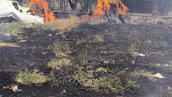 Siirt Kurtalan'da bahçe yangını ekiplerin müdahalesiyle büyümeden kontrol altına alındı