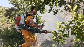 Hazro ilçesindeki orman yangını 15 dönümlük alanı küle çevirdi