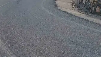 Siirt Kurtalan yolunda kamyonet şarampole yuvarlandı