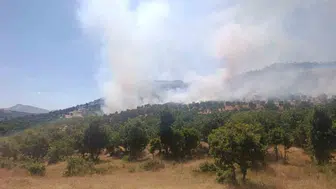 Diyarbakır Çüngüş ilçesindeki ağaçlık alanda yangın paniği yaşanıyor