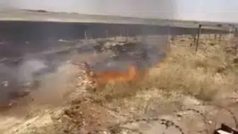 Nusaybin kırsalındaki anız yangını ekipleri harekete geçirdi