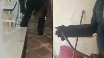 Hakkari’de bir evin içine giren yılan ev sakinlerini korkuttu