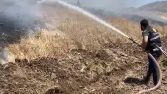 Karakoçan ilçesindeki tarlalarda çıkan yangın 35 dönüm ürünü yok etti