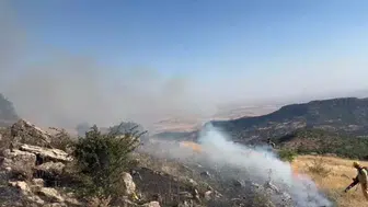 Hazro ilçesinde çıkan örtü yangını kontrol altına alınarak söndürüldü