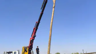 Şanlıurfa tarlalarında yakılan anızlar elektrik direklerini küle çevirdi