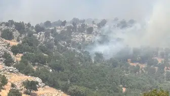 Çüngüş ilçesindeki yaylada çıkan örtü yangınına ekiplerden müdahale