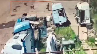 Silopi’de sokak köpeklerinin hedefi olan çocuk son anda kurtarıldı