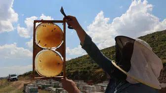 Bingöl Karlıova yaylalarında bal üreticileri hasat için gün sayıyor