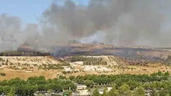 Şanlıurfa Karaköprü’deki ormanlık alanda çıkan yangın kontrol altına alındı
