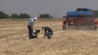 Şanlıurfa çiftçisi anız yakmadan tarladan daha fazla verim alıyor