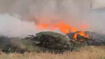 Bingöl Sancak bölgesindeki ormanlık alanda yangın çıktı