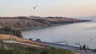 Van Mollakasım Sahili çöp yığınları arasında yok olma tehlikesi yaşıyor