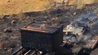 Solhan ilçesinde arıcılık yapan bir üreticinin 25 kovanı kundaklandı