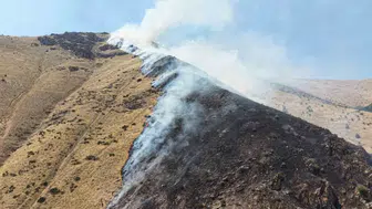 Keban ilçesindeki orman yangınını başlatan kişi hapse girdi