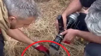 Lice kırsalında çıkan yangın 450 dönüm alanı küle çevirdi