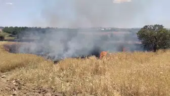 Elazığ Poyraz Köyü yakınlarındaki arazide çıkan yangın kontrol altına alındı