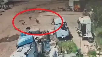 Silopi'de köpeklerin kovaladığı küçük çocuğu babası ve amcası son anda kurtardı