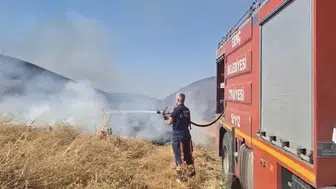 Bingöl Genç ilçesinde çıkan anız yangını ekipleri harekete geçirdi