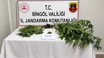 Bingöl jandarmasından aranan şahıslara yönelik geniş çaplı operasyon