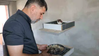 Diyarbakırın özgün güvercin oteli yaşadığı büyük yangın sonrası yeniden hizmete girdi