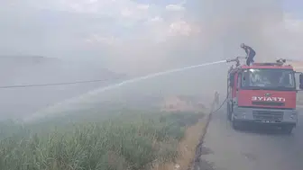 Siirt Üniversitesinin yanındaki arazide çıkan yangın yüz dönümü küle çevirdi