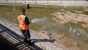 Elazığ genelinde sinek ve haşerelere karşı geniş kapsamlı ilaçlama seferberliği başladı