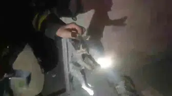 Şanlıurfa'da bodrum katındaki yangından iki yavru kedi sağ çıkarıldı