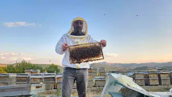 Tunceli dağlarında arıcıların bal hasadı mesaisi başladı