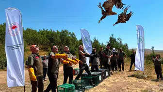 Tedavisi tamamlanan 5 yaban hayvanı Nemrut Kalderası'nda özgürlüğüne kavuştu