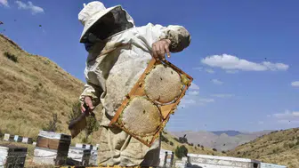 Bitlis balında verim artışı üreticinin yüzünü güldürdü