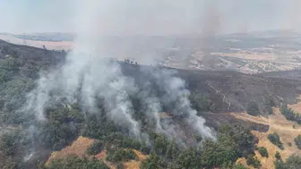 Tunceli ormanlarında çıkan yangın havadan ve karadan müdahaleyle söndürülmeye çalışılıyor