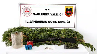 Akçakale Jandarmasından uyuşturucu ve silah operasyonu