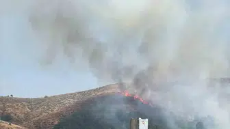 Genç ilçesindeki örtü yangınına ekipler müdahale ediyor