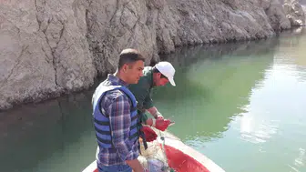 Van iç sularında üç aylık avlanma dönemi resmen başladı