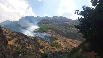 Hakkari'de arazöz Zap Suyu'na uçtu, 3 orman personeli yaralandı